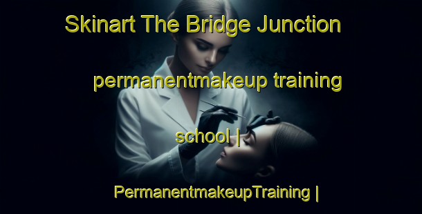 Skinart The Bridge Junction permanentmakeup training school | PermanentmakeupTraining | PermanentmakeupClasses | SkinartTraining-United States